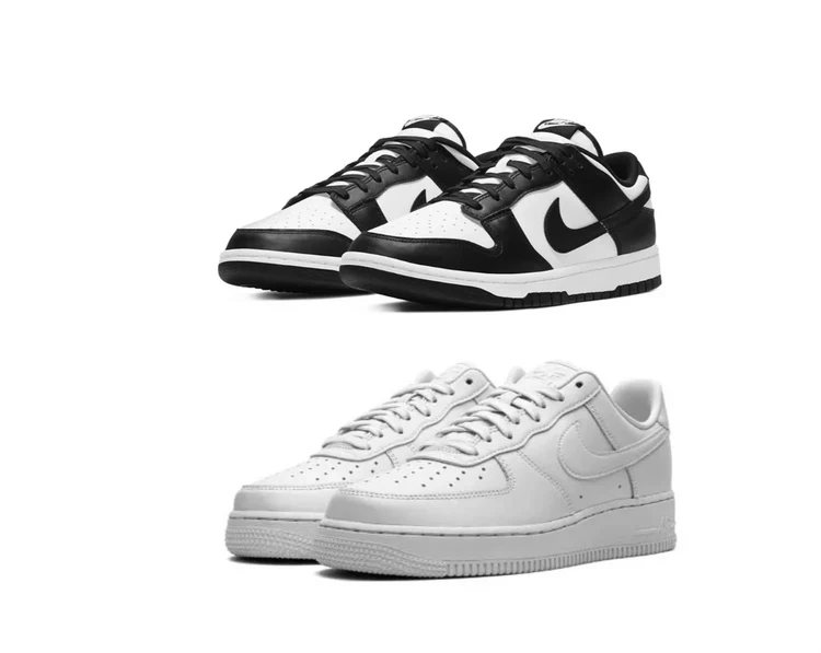 Low Dunk X AIRFORCE