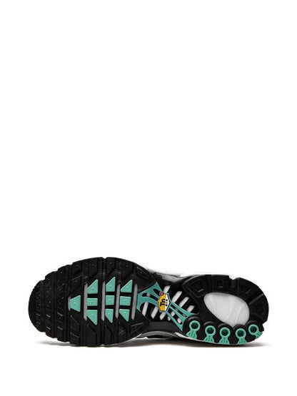 NIKE AIR MAX PLUS "ATMOS"